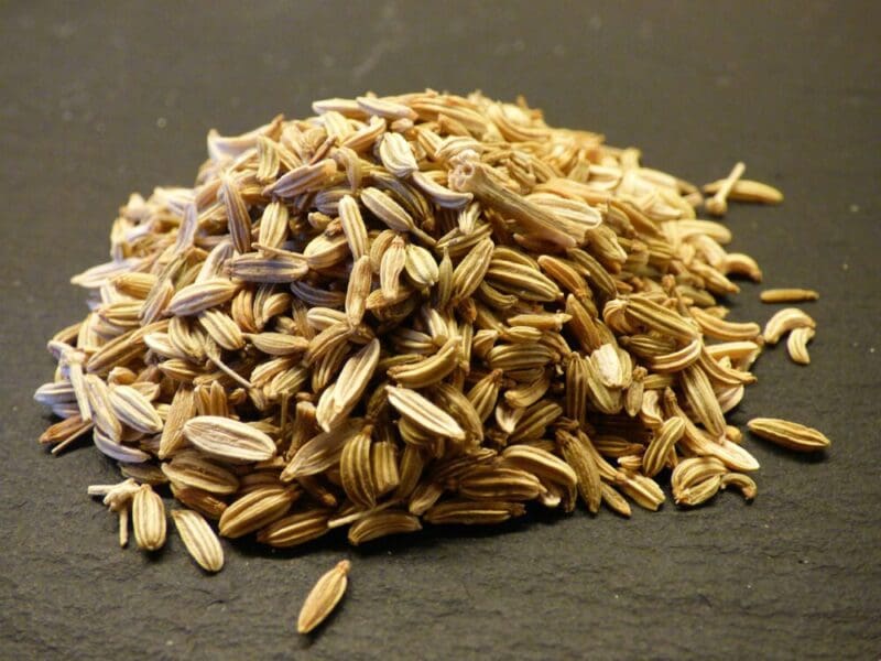 fennel 307555 1280