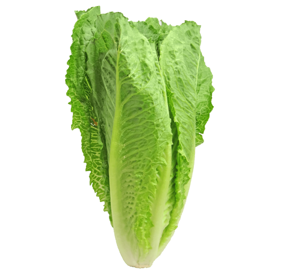 Az eredeti Caesar saláta hozzávalói 1 lettuce 2468495 1280