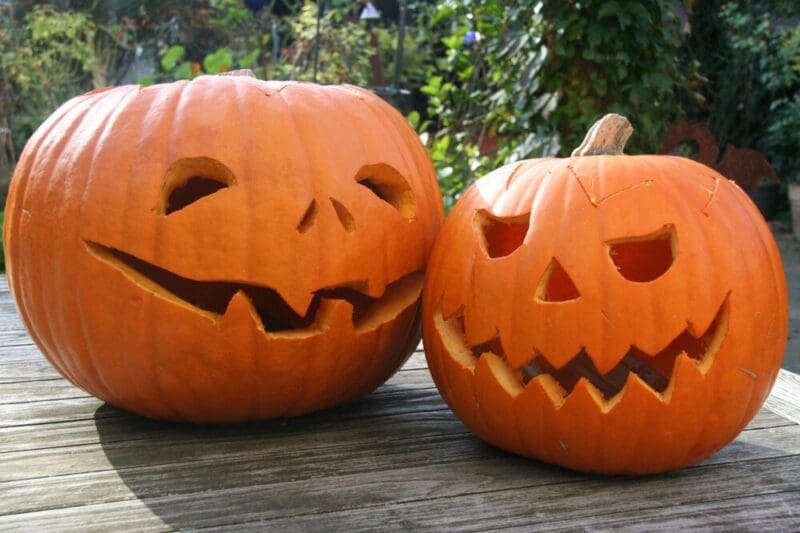 pumpkin 3212006 1280
