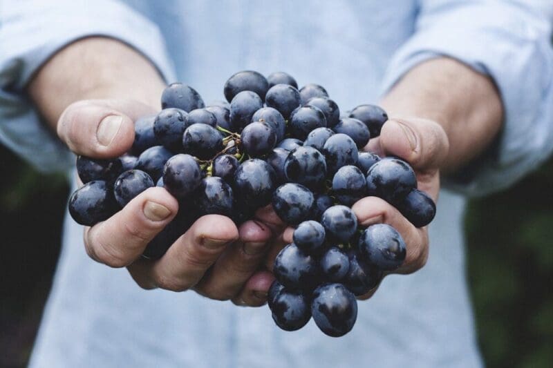 Szerencsehozó ételek a világ különböző tájain 3 grapes 690230 1280