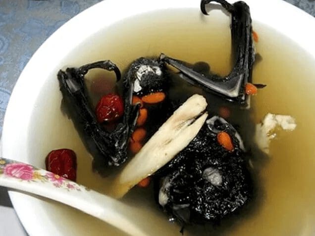 Fruit Bat Soup a common food in Palau Micronesia