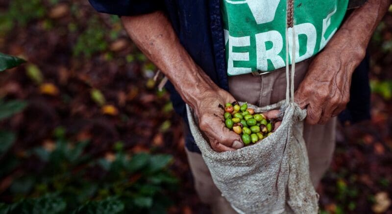 Már 50 éve kortyolgathatjuk a Costa kávéit 2 costa-coffee