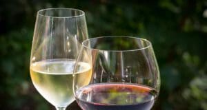 Borünnep a vizek városában