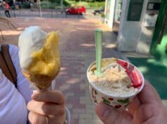 Cukormentes fagyiteszt a Fragolában