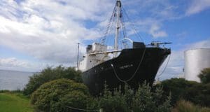 Nagyon drága a bálnahús Japánban