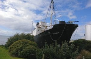 Nagyon drága a bálnahús Japánban