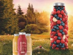 A Sió felfedezte a smoothie-t