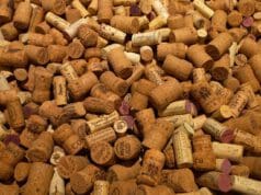 Dugó, fadugó – parafa dugó