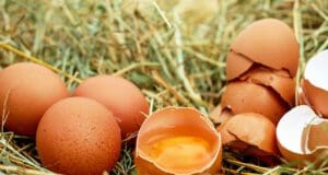 Nem minden ördögtől való, ami E-vel kezdődik