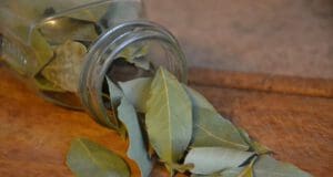 Babér, a költői fűszer