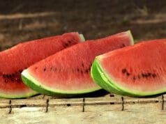 Mennyibe kerül a dinnye?