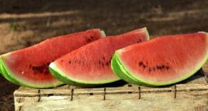 Mennyibe kerül a dinnye?