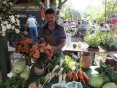 Több mint piac: a Liliomkert