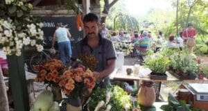 Több mint piac: a Liliomkert