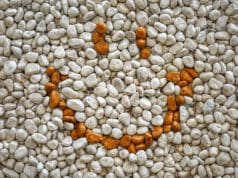 Hol volt, hol nem volt, volt egyszer egy kőleves A kőleves "alapanyaga"