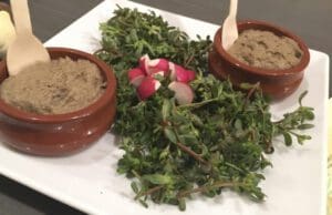 A Banyaerdő finomságai boszorkányosan jól sikerültek! A csodálatos vargányás gombakrém