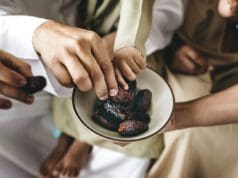 Datolya, az édes bibliai szupergyümölcs