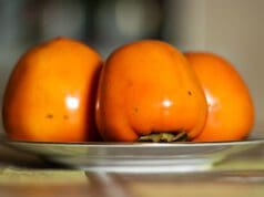 Khaki szilva és datolyaszilva – akkor most melyik melyik?