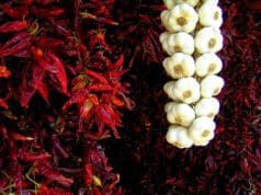 Fűszerpaprika, a magyarok világhíres fűszere