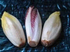 Endívia, egy különleges idegen