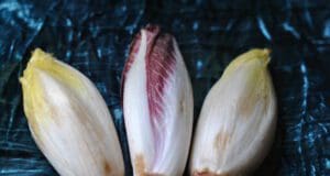 Endívia, egy különleges idegen