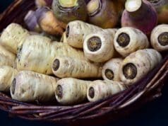 Paszternák, egy remek kora tavaszi csemege