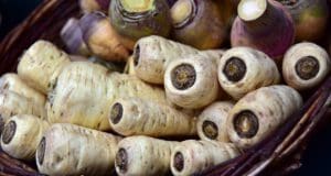 Paszternák, egy remek kora tavaszi csemege