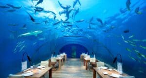 A 7 legextrémebb étterem a világon