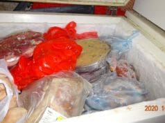 Horror: kosz, piszok és azonosíthatatlan ételek egy ázsiai étteremben 350 kg lejárt