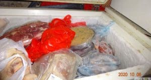 Horror: kosz, piszok és azonosíthatatlan ételek egy ázsiai étteremben 350 kg lejárt