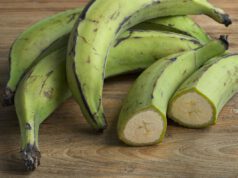 Mire való az egzotikus főzőbanán? főzőbanán