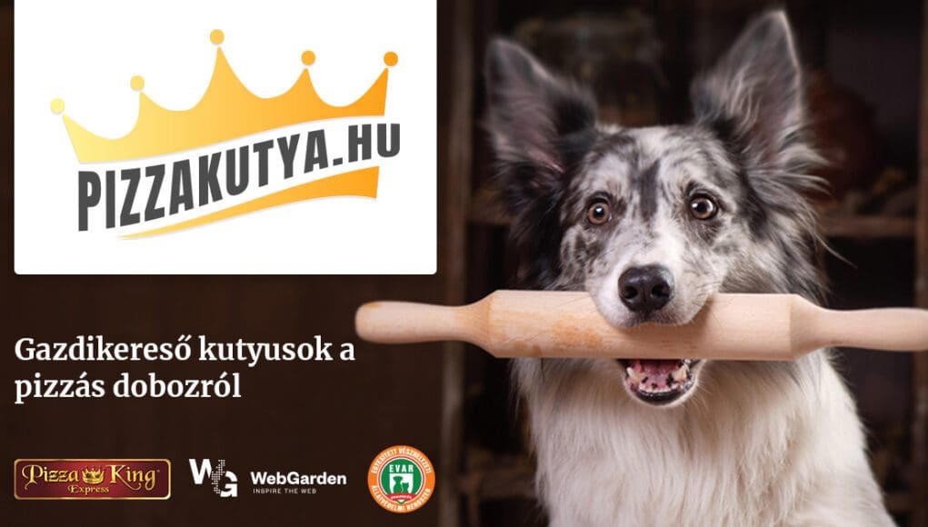 pizzakutya