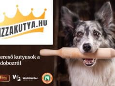 Örökbe fogadható kutyusok képei kerülnek a pizzadobozokra pizzakutya