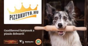 Örökbe fogadható kutyusok képei kerülnek a pizzadobozokra pizzakutya