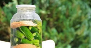 Így készül a világklasszis kovászos uborka kovászos uborka