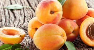 Joghurtos sárgabarack krémleves sárgabarack krémleves