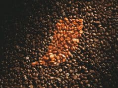 A modern kávéivás az élményről és a fenntarthatóságról szól kávé világnap