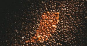 A modern kávéivás az élményről és a fenntarthatóságról szól kávé világnap