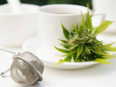 Magas THC-tartalom miatt kivonnak egy kender teát a forgalomból felina kender