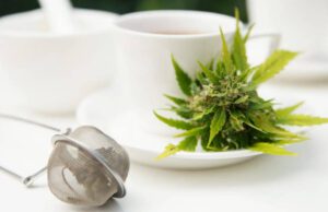 Magas THC-tartalom miatt kivonnak egy kender teát a forgalomból felina kender