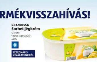 Citromos jégkrémet hívott vissza az Aldi aldi citromos jégkrém