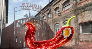 Mindenkit megPistáznak – az erőseké a jövő Az Erő Esszenciája az Erős Pista