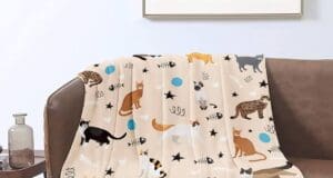 Mi teszi különlegessé a cicás plédeket?