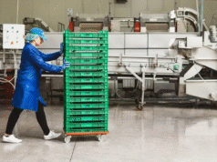 Hogyan csökkentik a műanyag raklapok a költségeket és javítják a higiéniát