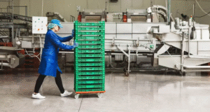 Hogyan csökkentik a műanyag raklapok a költségeket és javítják a higiéniát