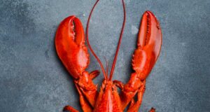 Nyoma veszett egy 400 ezer dolláros homárszállítmánynak, amely a Costco felé tartott