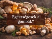 Hogyan építsd be a gombát a mindennapi étrendedbe?