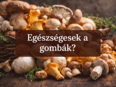 Hogyan építsd be a gombát a mindennapi étrendedbe?