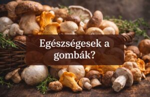 Hogyan építsd be a gombát a mindennapi étrendedbe?