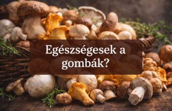 Hogyan építsd be a gombát a mindennapi étrendedbe?